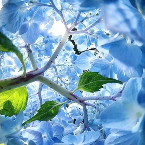 Meet your Posher. - Picture 1 of 1